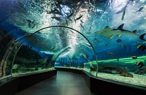 Plumeria Heights Plumeria Heights