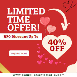 Promo for Camella Santa Maria.